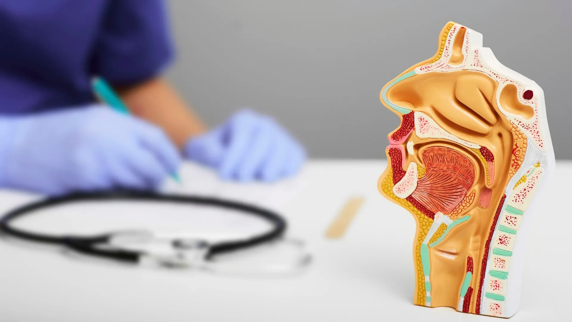 Wondering whether you should see an ENT or an audiologist for hearing loss? Learn who should evaluate your hearing first, when an ENT is necessary, and how Delray Hearing Center helps patients hear their best.